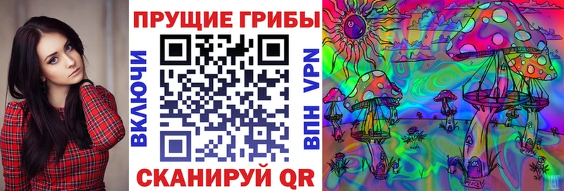 Галлюциногенные грибы мицелий Петропавловск-Камчатский
