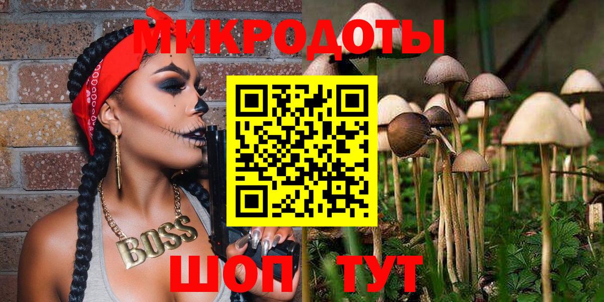 Псилоцибиновые грибы Cubensis Петропавловск-Камчатский