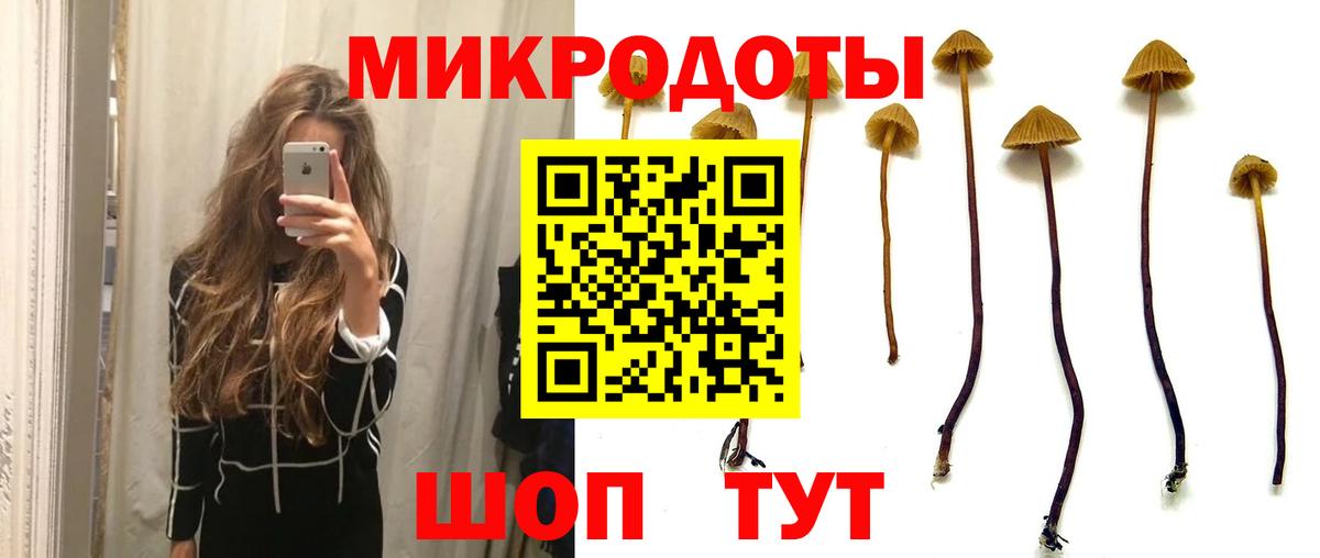 Петропавловск-Камчатский  Псилоцибиновые грибы прущие грибы  Вход с VPN 